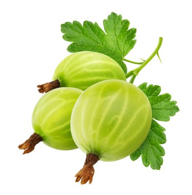Green gooseberry with leaves isolated on white background clipart