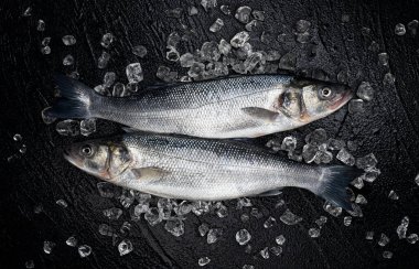 Siyah taş zemin üzerinde buzda taze deniz kabuğu balığı.