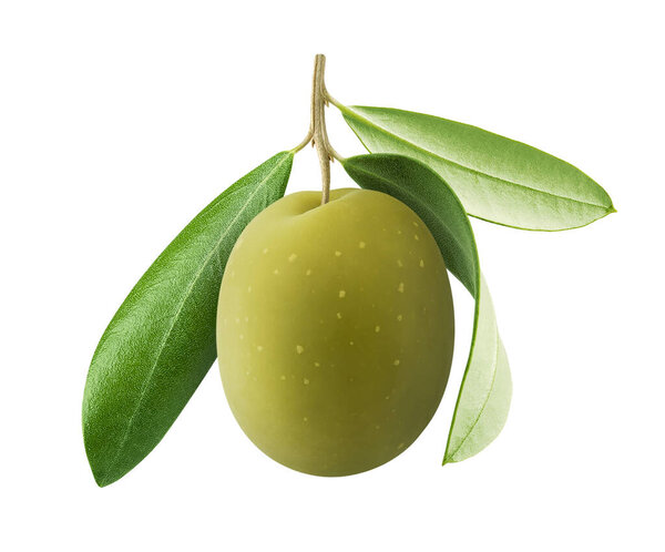 Single olive. One green olive fruit with leaves isolated on white background with clipping path