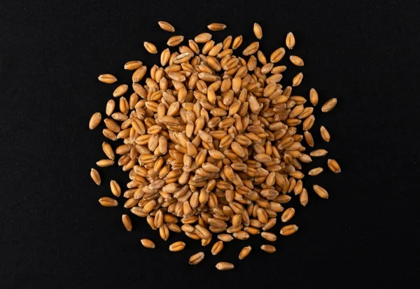 Siyah arkaplanda izole edilmiş buğday taneleri yığını, üst görünüm
