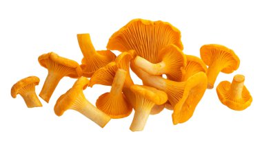 Beyaz arka planda kırpma yolu ile izole edilmiş çiğ taze chanterelle mantarları