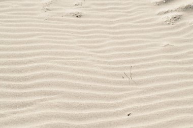 Doğal arka plan bej doku kum.