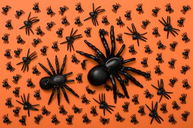 Cadılar Bayramı arka plan, örümcekler turuncu zemin üzerine bir sürü