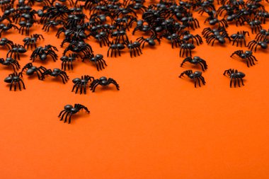 Cadılar Bayramı arka plan, siyah örümcekler turuncu zemin üzerine