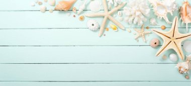 deniz kabuğu ve denizyıldızı ahşap tahta üzerinde