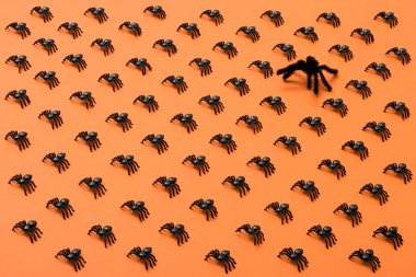 Cadılar Bayramı arka plan, siyah örümcekler turuncu zemin üzerine