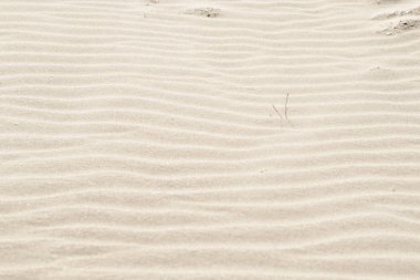 Doğal arka plan bej doku kum.