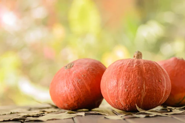 Zucche Mature Arancioni Sul Tavolo Legno — Foto Stock