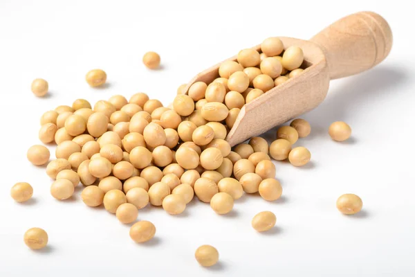 ham soya, Vejetaryen protein