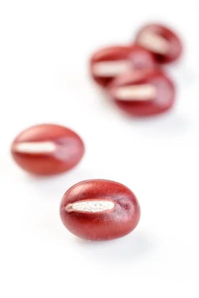 在白色背景上分离的红豆 — 图库照片