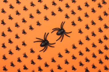 Cadılar Bayramı arka plan, siyah örümcekler turuncu zemin üzerine