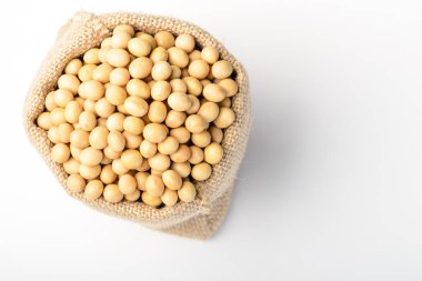 ham soya, Vejetaryen protein