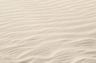 Natural background of beige sand texture. clipart