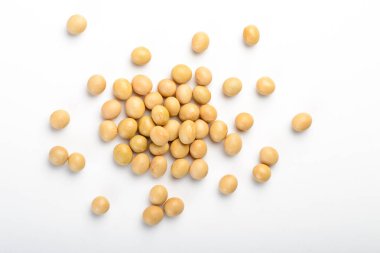 ham soya, Vejetaryen protein