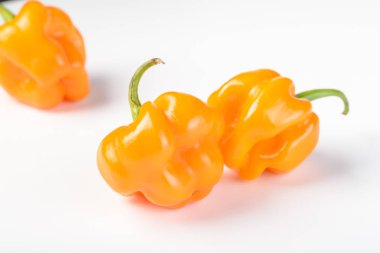 Sarı İmparator biber, beyaz arka plan üzerinde capsicum chinense