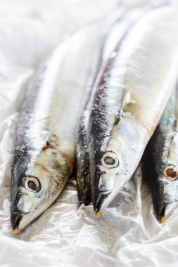 Taze saury balık. Taze deniz ürünleri kavramı.