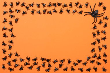 Cadılar Bayramı arka plan, siyah örümcekler turuncu zemin üzerine