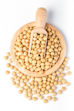 ham soya, Vejetaryen protein
