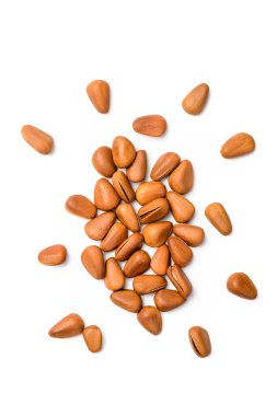 Çam fıstığı beyaz arkaplanda izole