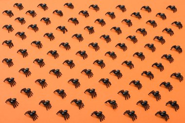 Cadılar Bayramı arka plan, siyah örümcekler turuncu zemin üzerine