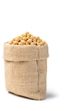 ham soya, Vejetaryen protein