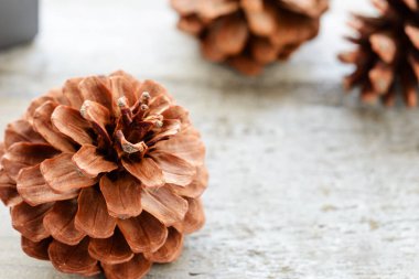 çam kozalağı ahşap tahta üzerinde. (büyük tilt shift lens ile çekilen alan derinliği,)