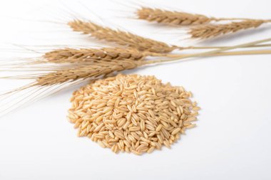 Beyaz arka plan üzerinde izole yulaf yığını