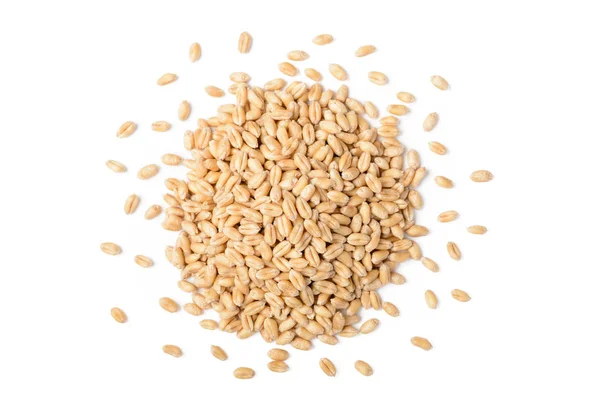 Wheat White Background — Stock Photo, Image