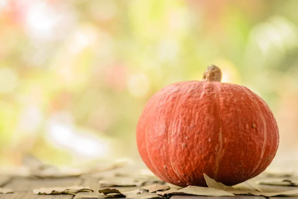 Abóbora Laranja Madura Mesa Madeira — Fotografia de Stock