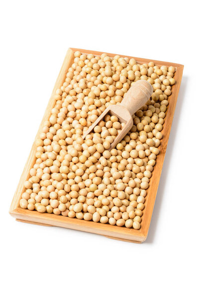 soybean on white, tilt shift lens