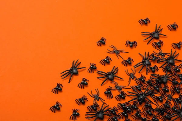 Halloween Hintergrund Schwarze Spinnen Auf Orangefarbenem Hintergrund — Stockfoto