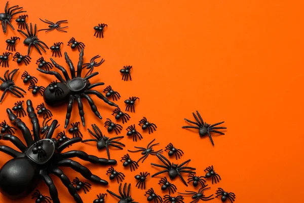 Fondo Halloween Arañas Negras Sobre Fondo Naranja —  Fotos de Stock