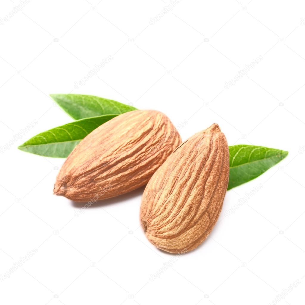 dried almond and leaves on white