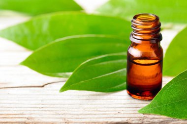 Tarçın yaprağı yağı ve ahşap tahta üzerinde taze tarçın yaprakları