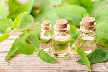 okaliptüs esans ve ahşap masa üzerinde taze okaliptüs