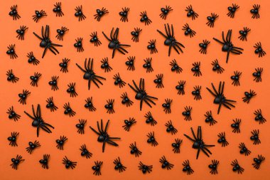 turuncu zemin üzerine siyah örümcekler