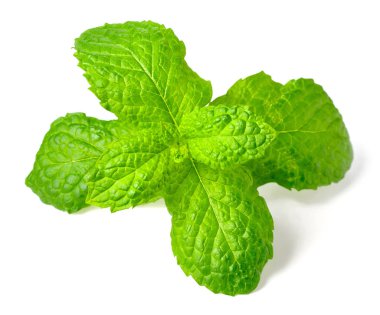 taze elma nane yaprakları üzerinde beyaz izole