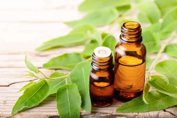 okaliptüs esans ve ahşap masa üzerinde taze okaliptüs