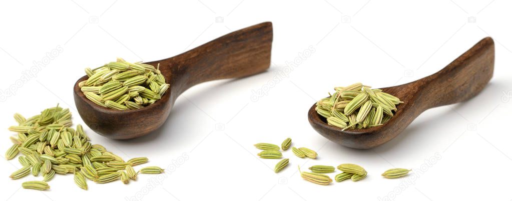 dried fennel seeds in the wooden spoon, isolated on white background