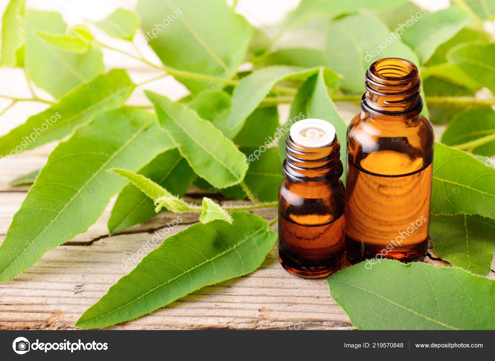 Массажное масло Shiatsu Masculine Амбра и масло эвкалипта, 100 мл 67008 - SHIATSU - Масла для массажа - Купить