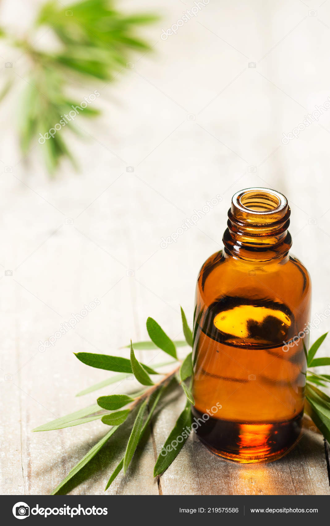 tea tree oil svenska tea tree oil svenska