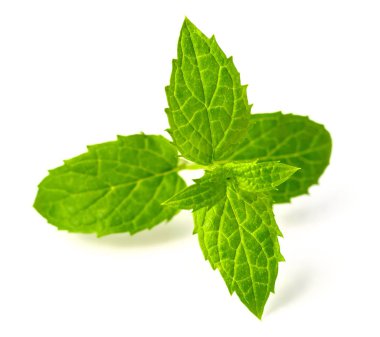 taze speramint izole üzerinde beyaz arka plan bırakır