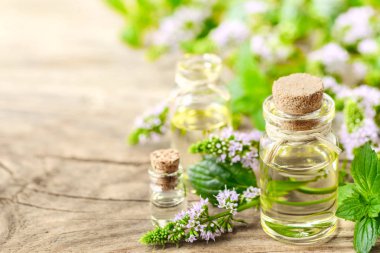 Nane önemli petrol ve ahşap masaya nane çiçek