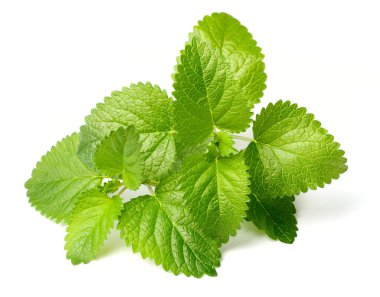 Beyaz arka plan üzerinde izole taze limon nane