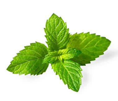 taze ot, beyaz arka plan üzerinde izole nane yaprakları