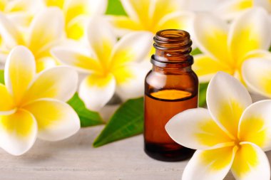 plumeria flowers and Plumeria Essential Oil Perfume on the wooden table clipart
