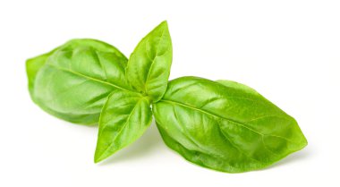 Beyaz arka plan üzerinde taze ot izole taze fesleğen