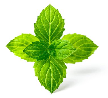 Nane yaprakları üzerinde beyaz, taze ot izole