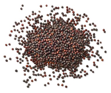 Beyaz arka plan üzerinde izole kurutulmuş kanola tohumu