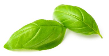 taze ot, izole üzerinde beyaz arka plan taze fesleğen yaprağı